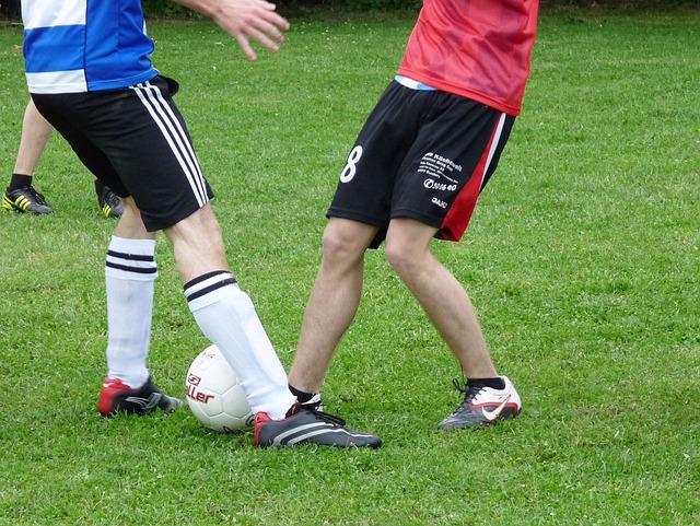 成熟度和智 成熟度和智