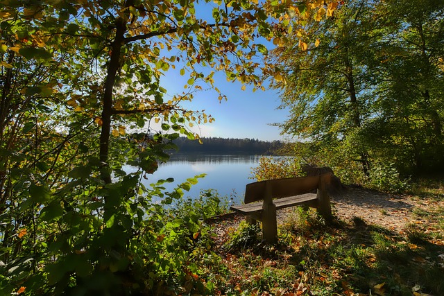 读能力与执 读能力与执